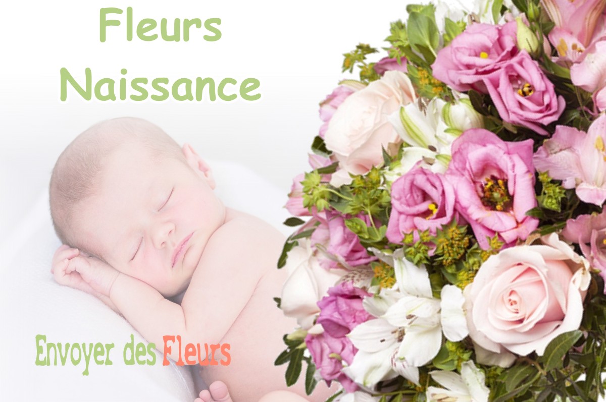 lIVRAISON FLEURS NAISSANCE à FONTENAY-AUX-ROSES